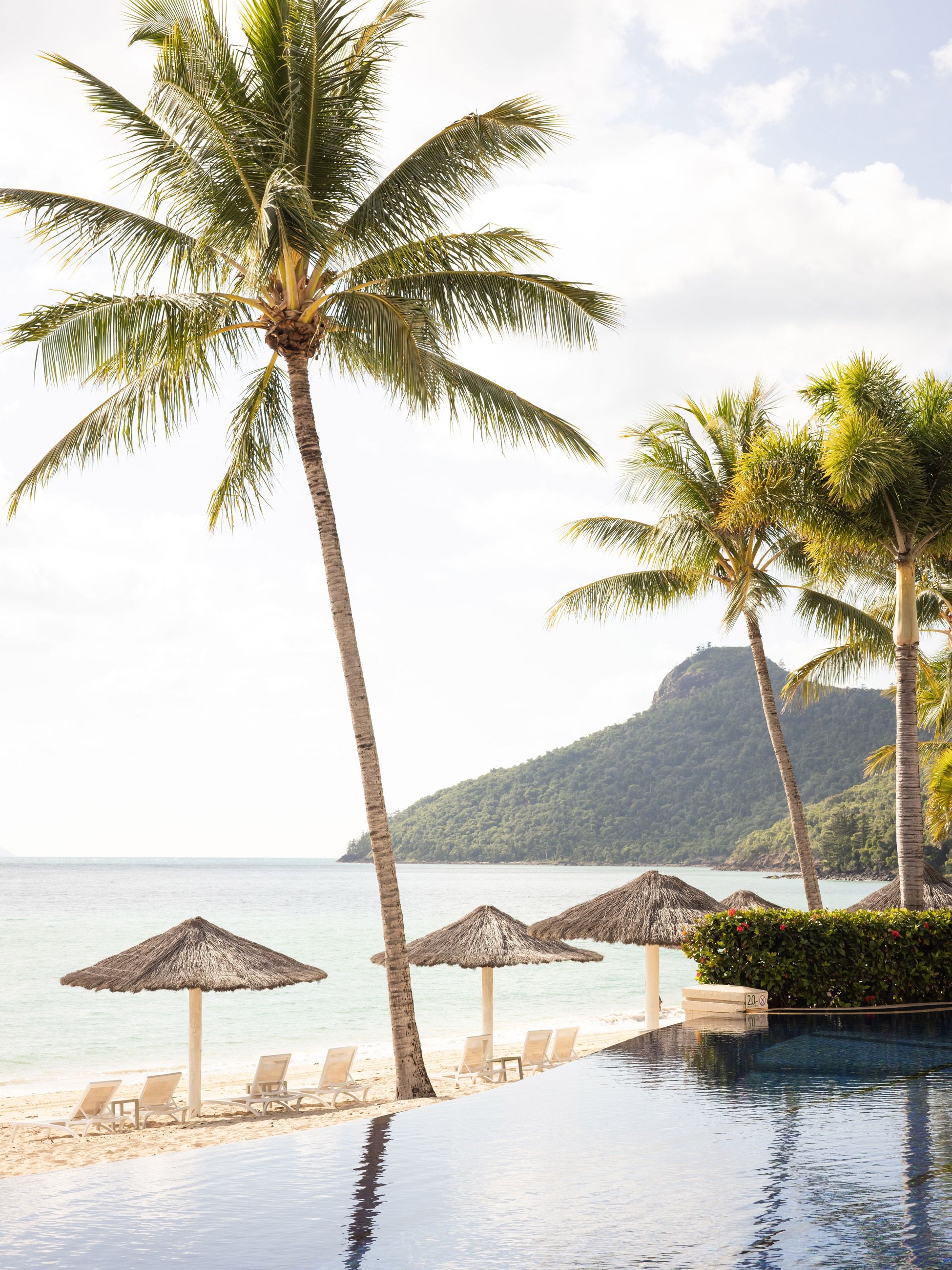 Beach Club pool hamilton