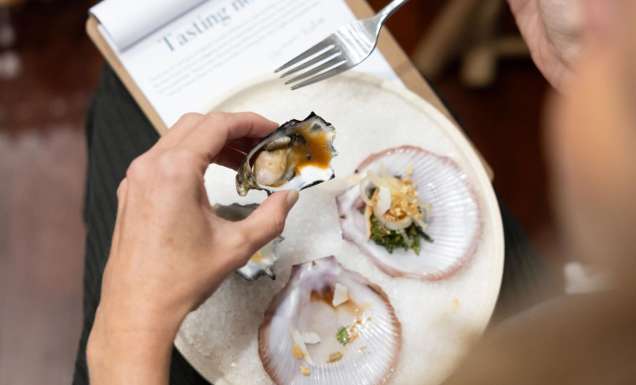 Tasting at The Curated Plate with oysters and scallops