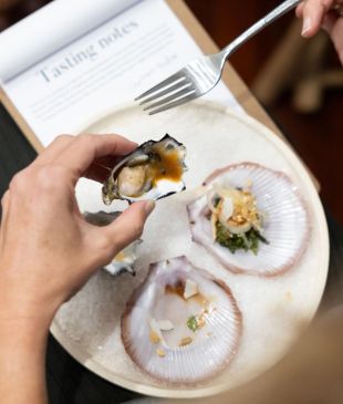 <p><i>First look</i>: Every delicious thing we ate at <strong>Sunshine Coast</strong> food fest</p>

