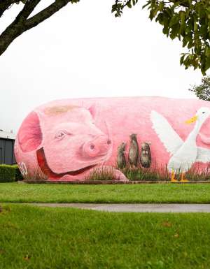 The Big Potato Babe transformation to The Pig Potato