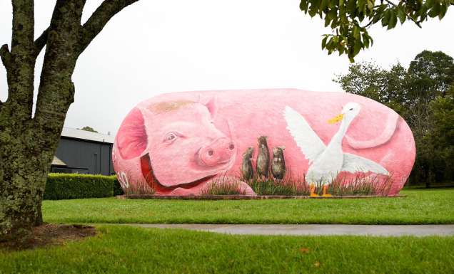 The Big Potato Babe transformation to The Pig Potato