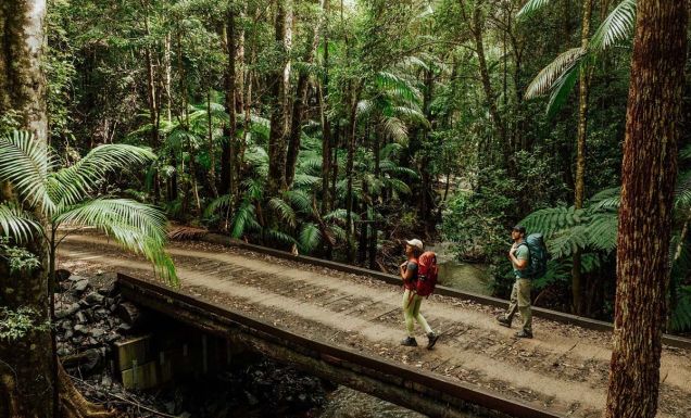 Gidjuum Gulganyi Walk Scrub Creek walking track