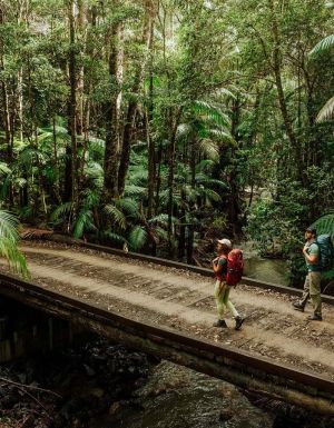 Gidjuum Gulganyi Walk Scrub Creek walking track