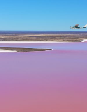 Kati Thanda-Lake Eyre is about to flood for the first time in years