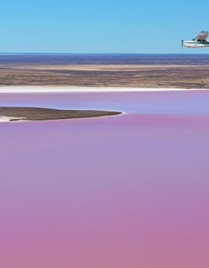 Plane flying over Kati Thanda-Lake Eyre