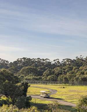 Werribee Open Range Zoo