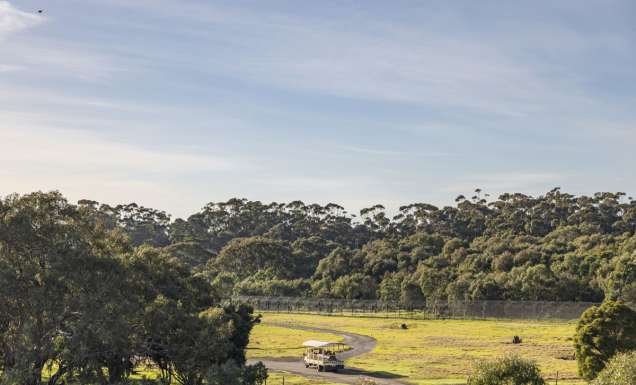 Werribee Open Range Zoo