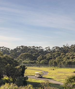 <p><strong>Australia</strong> beats <strong>Africa</strong> for <i>world’s most popular wildlife park</i></p>
