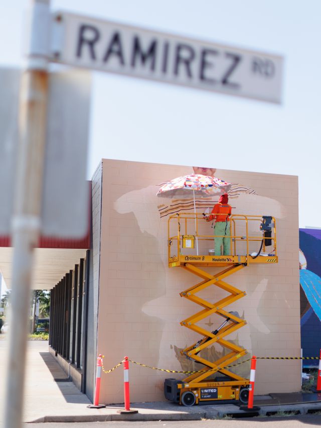 Darwin Street Art Festival