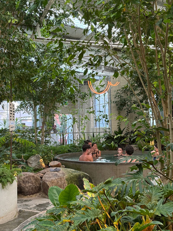 friends dipping in a cold plunge at Inner Studio, Collingwood