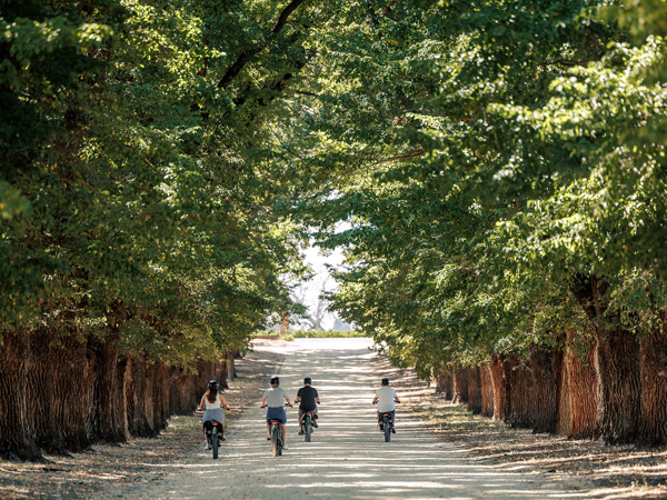 Rutherglen Loops in Victoria