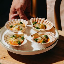 Geelong in autumn is best time to explore.