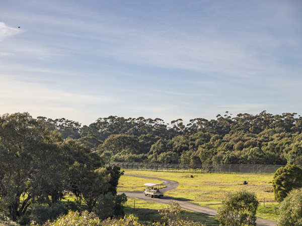 Werribee Open Range Zoo