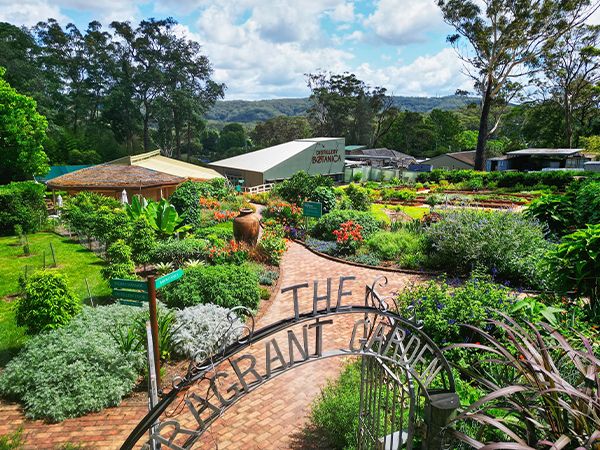 The botanical garden at Distillery Botanica.
