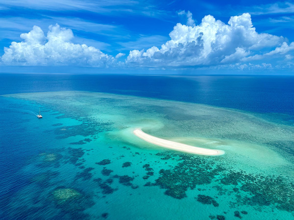 the white sand Low Isles coral cay from above