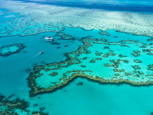 an aerial view of the reefs surrounding Hamilton Island, Great Barrier Reef