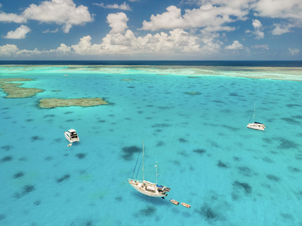 Great Barrier Reef boat tours on the turquoise, clear waters of Lady Musgrave Island