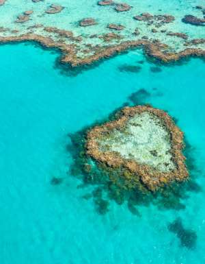 the Heart Reef from above