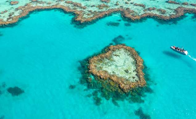the Heart Reef from above