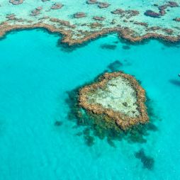the Heart Reef from above