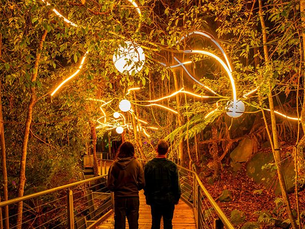 Nocturnal Scenic World