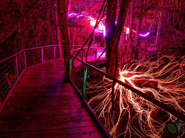 Nocturnal Scenic World