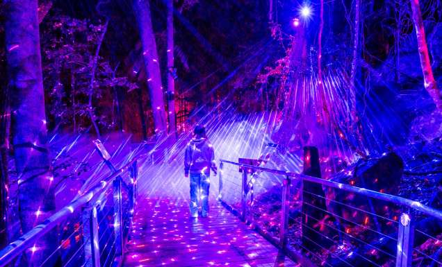 Nocturnal Scenic World