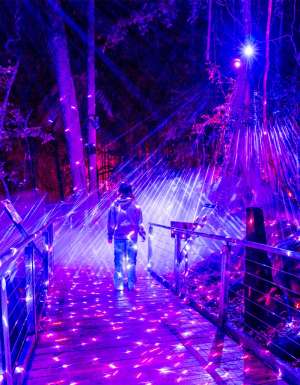 Nocturnal Scenic World