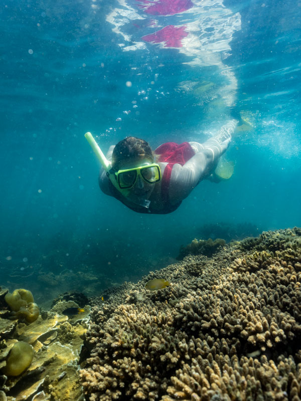 snorkelling at Nelly Bay, Magnetic Island