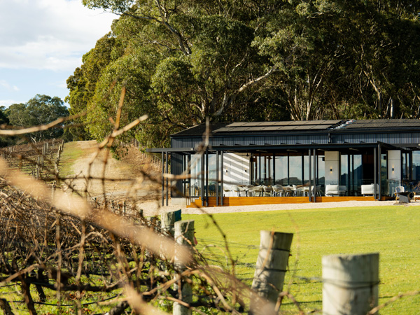 Nepenthe Winery in the Adelaide Hills, SA