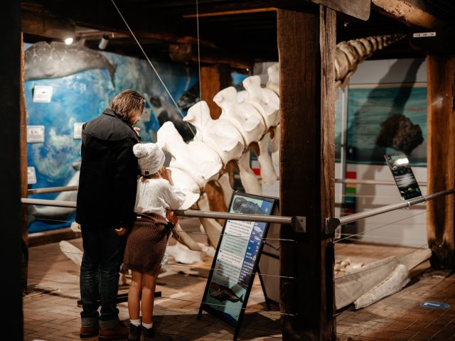 South Australian Whale Centre, Victor Harbor SA