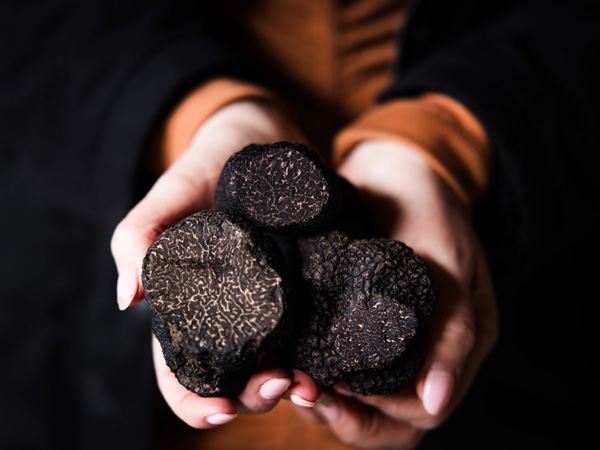 Truffles from Beltana Farm in Canberra, ACT