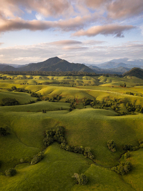 the lush greenery at Atherton Tablelands