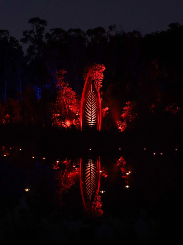 the Illumina Light Show, K’gari