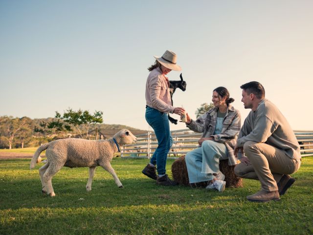 The giving Farm, Central Coast NSW