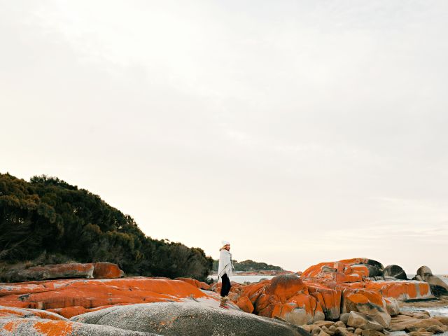 Bay of Fires, Tasmania