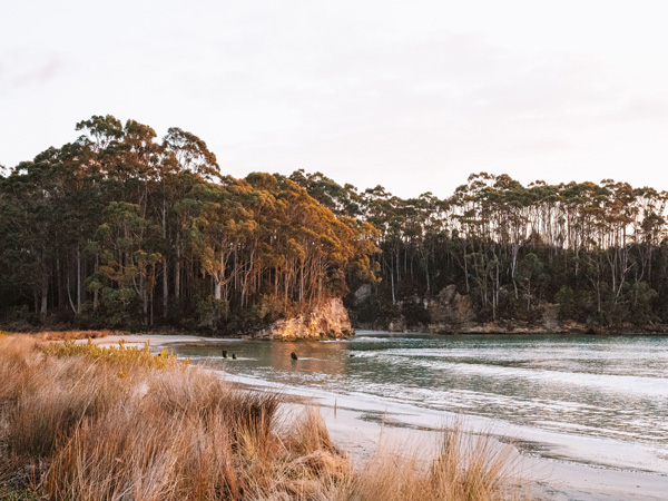 the Bruny Island in South Tasmania