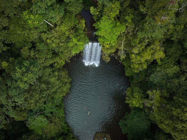 Barefoot Tours by Cairns Waterfalls