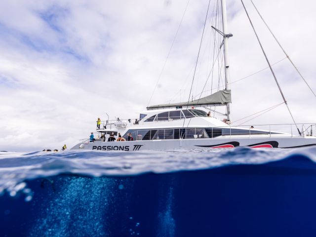 Passions of Paradise Great Barrier Reef tour