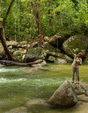 Mossman Gorge Cultural Centre Dreamtime Walk
