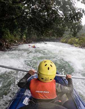 The ultimate guide to the best Cairns tours