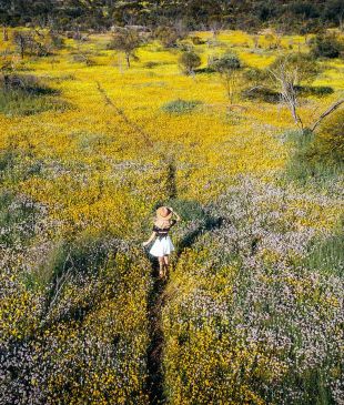<p>8 <i>secret places</i> in <strong>Western Australia</strong> you need to know about</p>
