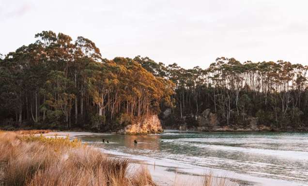 the Bruny Island in South Tasmania