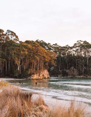 the Bruny Island in South Tasmania