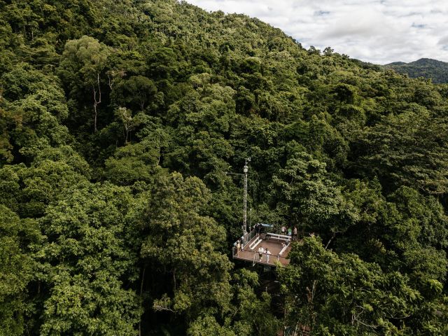 the deck of the Daintree Discovery Centre from above