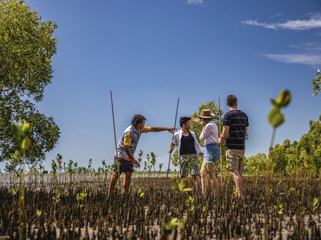 Walkabout Cultural Adventures through the mangroves