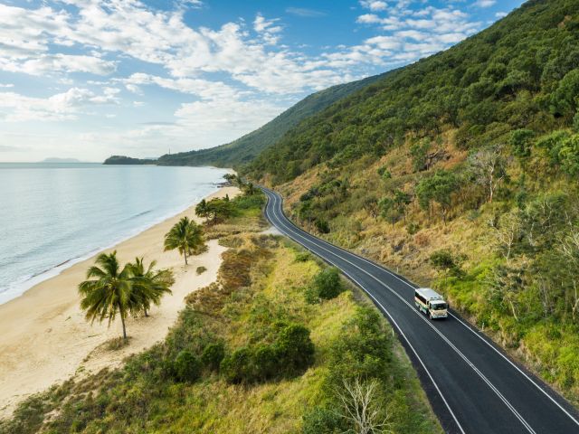 Billy Tea Safaris' Cape Tribulation Tour