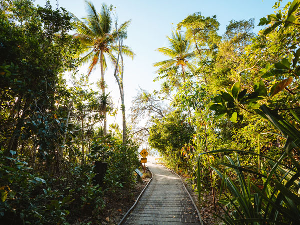 Dubuji Boardwalk in Cape Tribulation