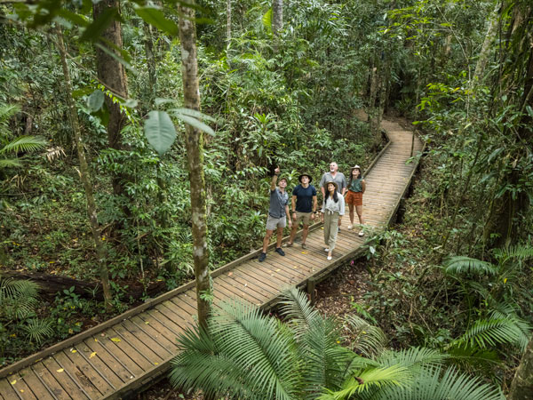 friends exploring Jindalba Circuit Track in Cape Tribulation