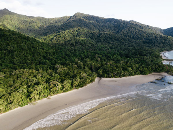 a beach in Cape Tribulation
